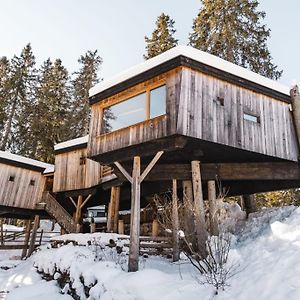 Luxury  House